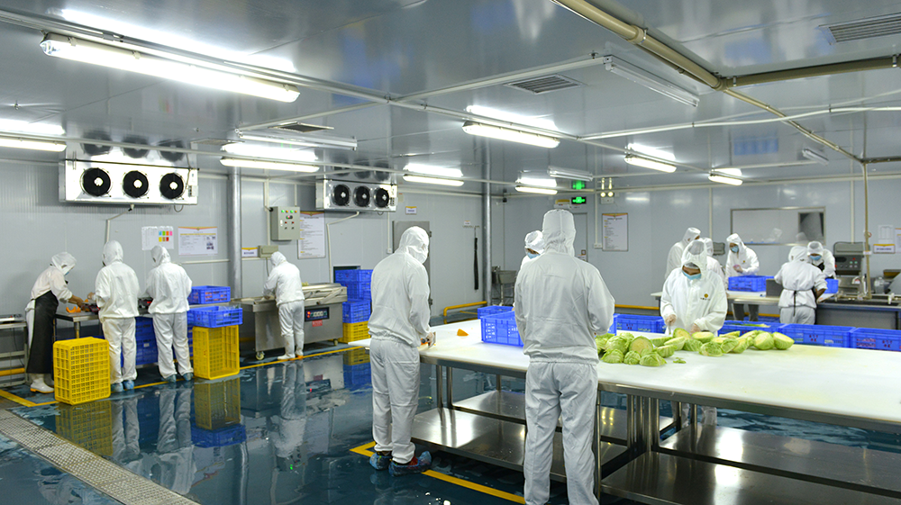 生鲜供应：食品安全与效率的双重挑战.png